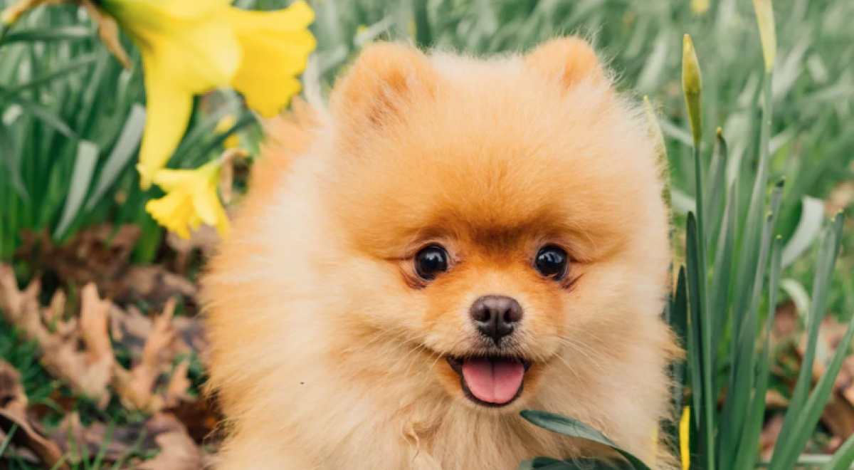 曼彻斯特·维多利亚河畔 Victoria Riverside 配套